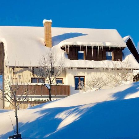 Apartments In Harrachov/Riesengebirge 2300 Zewnętrze zdjęcie